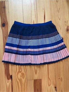 Pleated Navy and Pink Stripe Women's Skirt